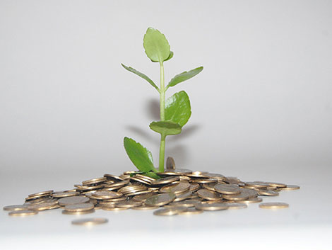 激活网站可靠的呼死你软件